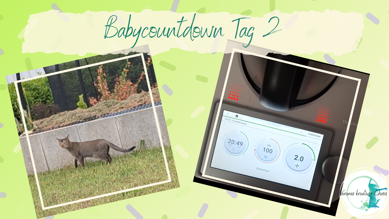 Mehr über den Artikel erfahren BabyCountdown T-? – Tag 2